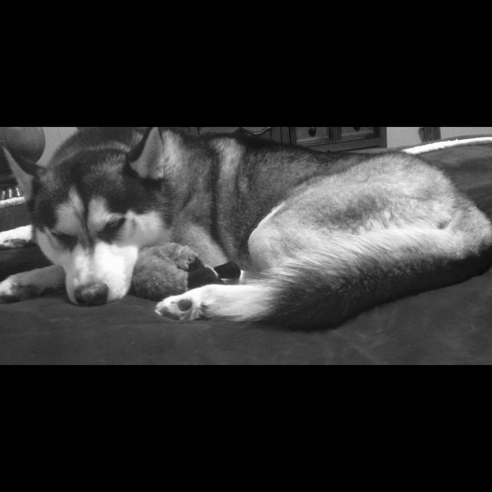 Meet your Posher, Thea